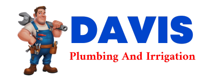 Trusted plumber in BUSHNELL